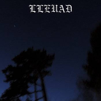 Wildered Against the Gloom